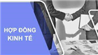 Thông báo sinh hoạt Hội Kế toán TP.HCM tháng 9 năm 2024